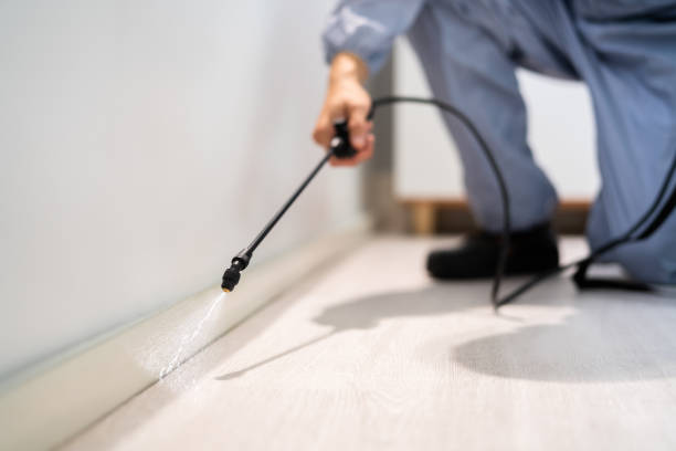 Licensed Mosquito Control service in Los Lunas, NM - Show Me Pest Control