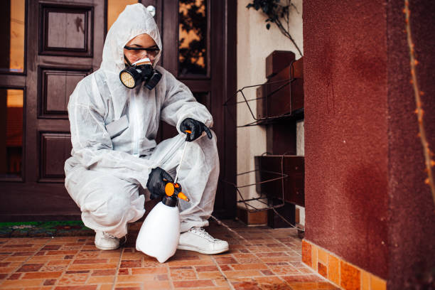 Reliable Mosquito Control contractor in Los Lunas, NM by Show Me Pest Control